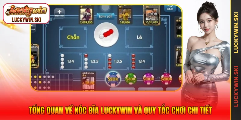 Tổng quan về xóc đĩa luckywin và quy tắc chơi chi tiết